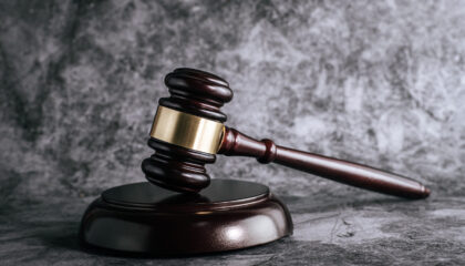 Lian Original Auction